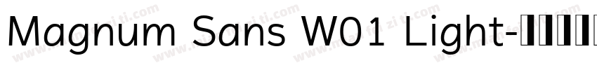 Magnum Sans W01 Light字体转换
